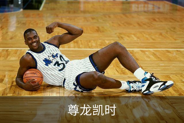 尊龙凯时公司简介