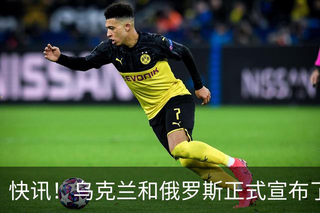 快讯！乌克兰和俄罗斯正式宣布了！