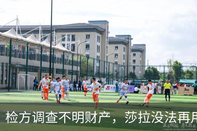 检方调查不明财产，莎拉没法再用“政治迫害”一笔带过