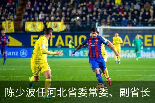 陈少波任河北省委常委、副省长